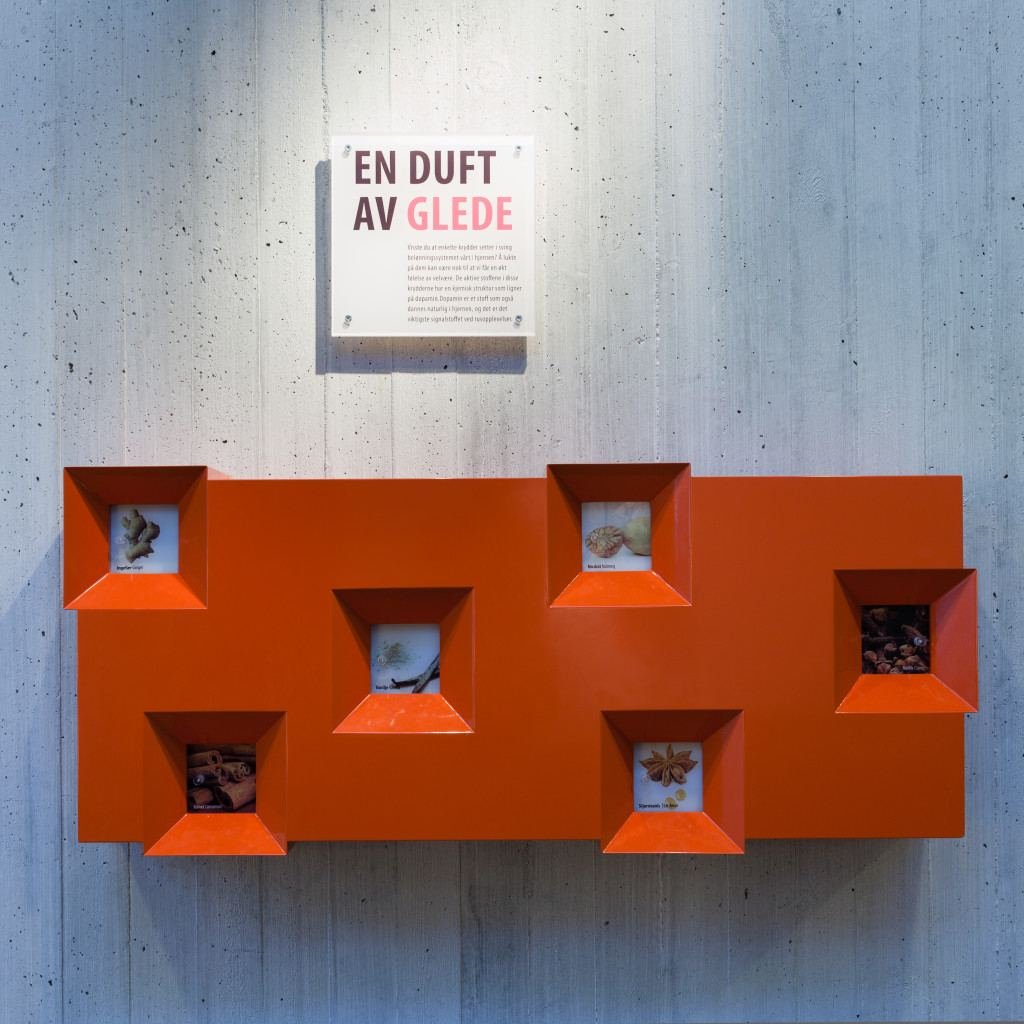 ImPuls, UiT, bilde 12 av 21